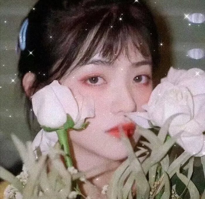 神圣女王