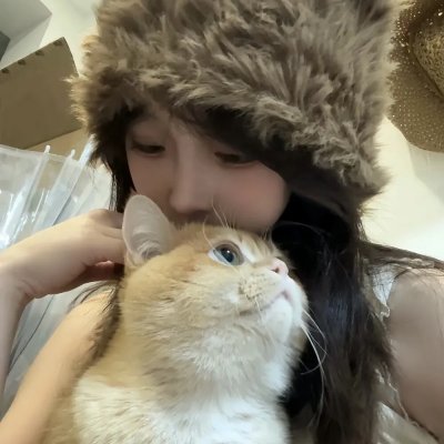 公司业务